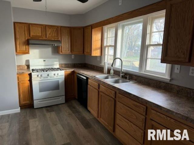 kitchen with ceiling fan, sink, dark wood-type flooring, black dishwasher, and white range with gas cooktop