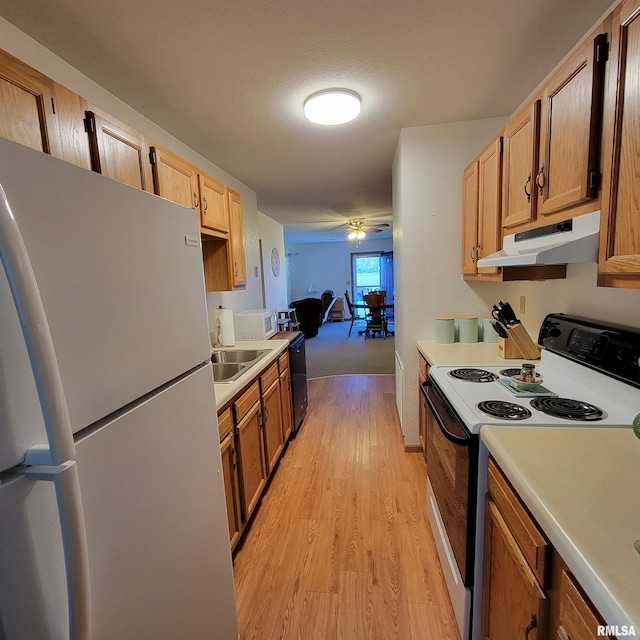 kitchen with light wood-type flooring, white appliances, ceiling fan, and sink