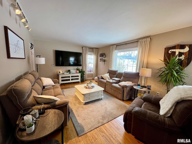 living room featuring hardwood / wood-style flooring