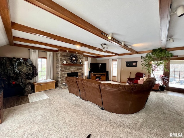 carpeted living room featuring beam ceiling, rail lighting, a stone fireplace, and ceiling fan