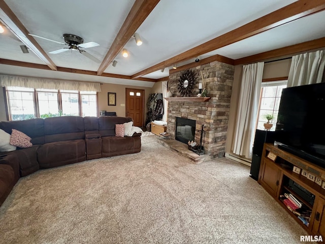 carpeted living room featuring beam ceiling, a fireplace, ceiling fan, and plenty of natural light