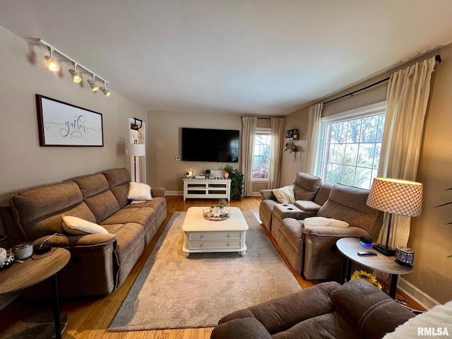 living room featuring wood-type flooring and track lighting