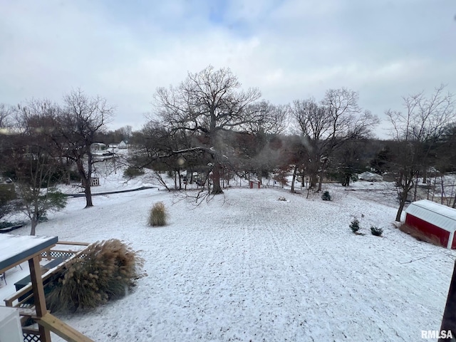 view of yard covered in snow