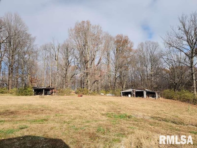 view of yard with an outdoor structure