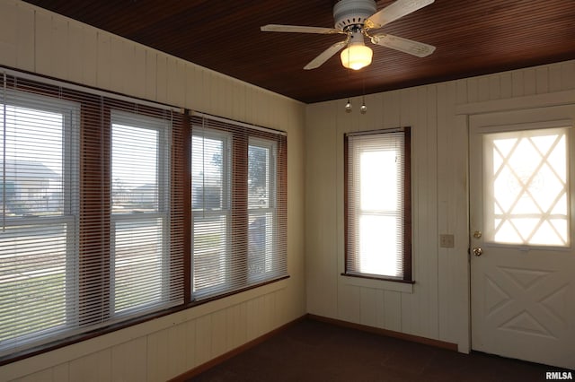 entryway featuring wood walls and a healthy amount of sunlight