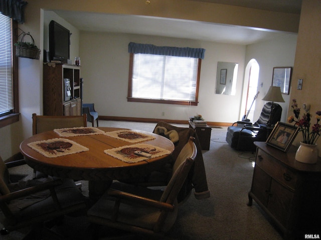 dining area with carpet floors