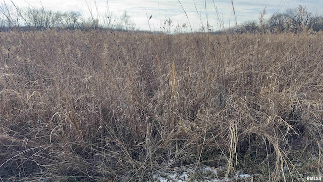 Timber Rd, Kewanee, IL 61443