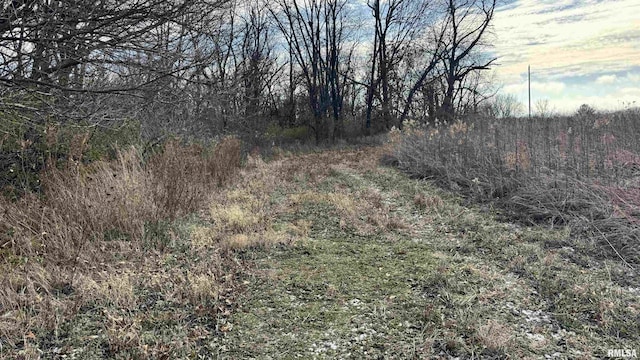 Timber Rd, Kewanee, IL 61443