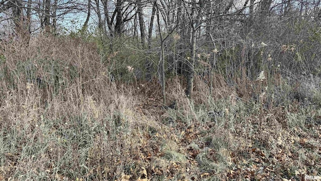Timber Rd, Kewanee, IL 61443