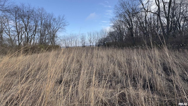 Timber Rd, Kewanee, IL 61443
