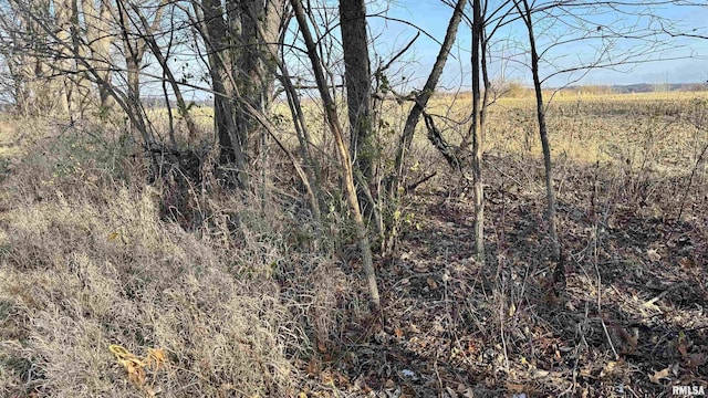 Timber Rd, Kewanee, IL 61443