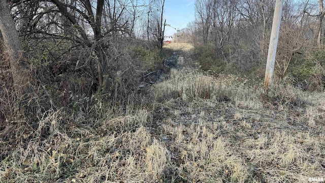 Timber Rd, Kewanee, IL 61443