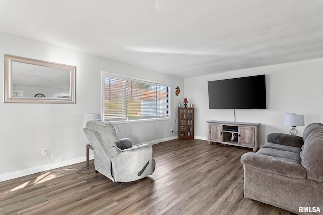 living room with hardwood / wood-style floors