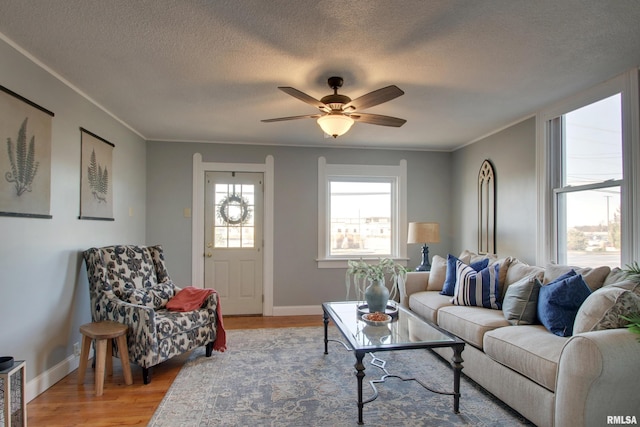 living room featuring a textured ceiling, light wood-type flooring, ceiling fan, and crown molding