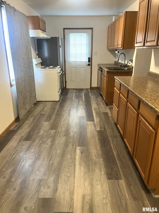 kitchen featuring dark hardwood / wood-style floors, stainless steel dishwasher, white electric stove, and sink