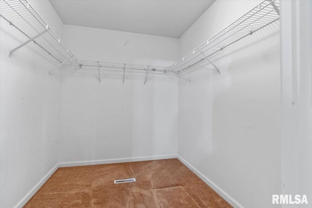 spacious closet featuring carpet flooring