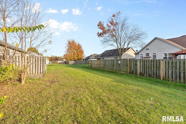 view of yard