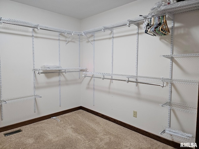 walk in closet featuring carpet floors