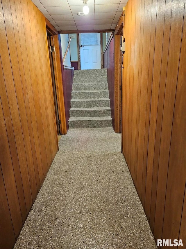 hall featuring carpet and wooden walls