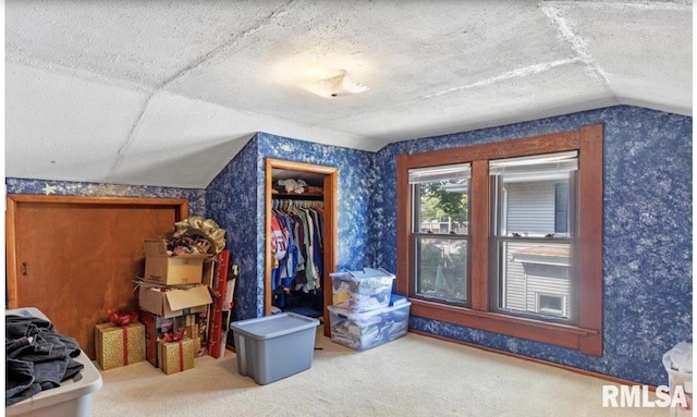 bonus room with carpet, a textured ceiling, and lofted ceiling