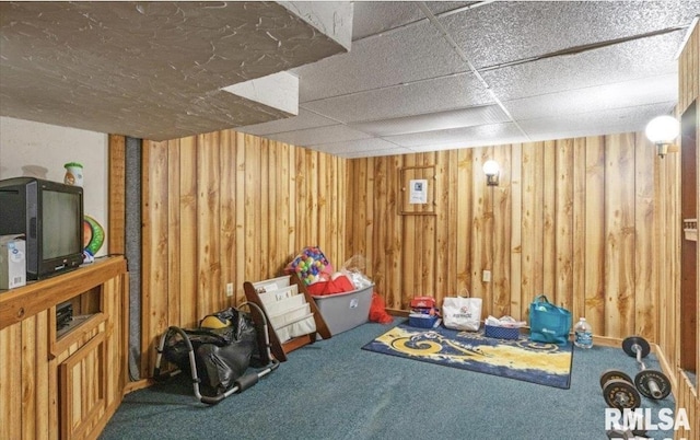 interior space with carpet flooring and wooden walls