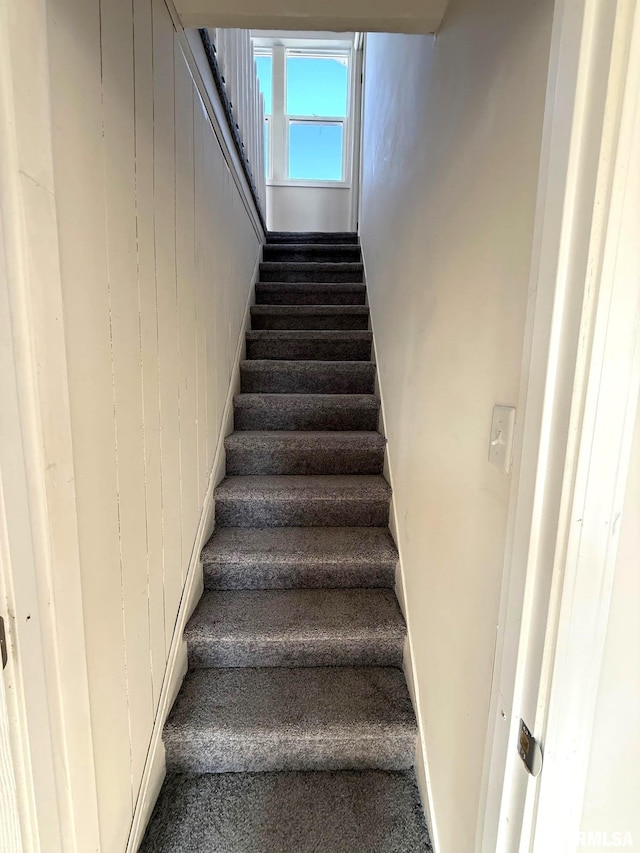 stairs featuring carpet and wooden walls