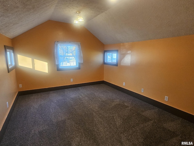 additional living space featuring carpet flooring, lofted ceiling, and a textured ceiling