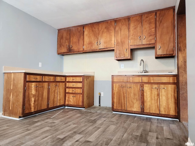 kitchen with light wood-type flooring and sink