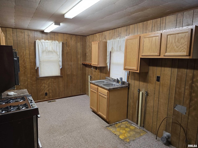 kitchen featuring white gas stove, light colored carpet, sink, and wooden walls