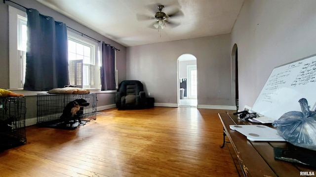 home office with ceiling fan and light hardwood / wood-style flooring