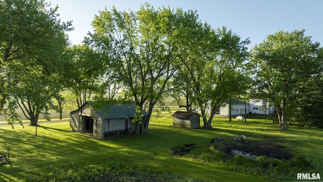 view of yard featuring a storage shed