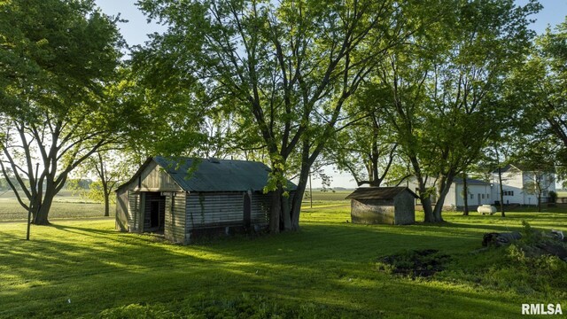 view of yard with a storage unit