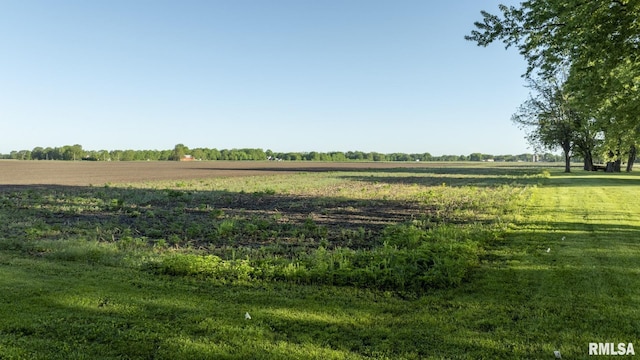 view of landscape featuring a rural view