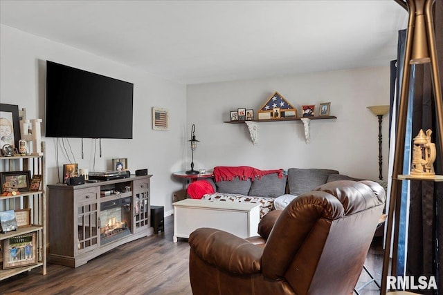 living room featuring wood-type flooring