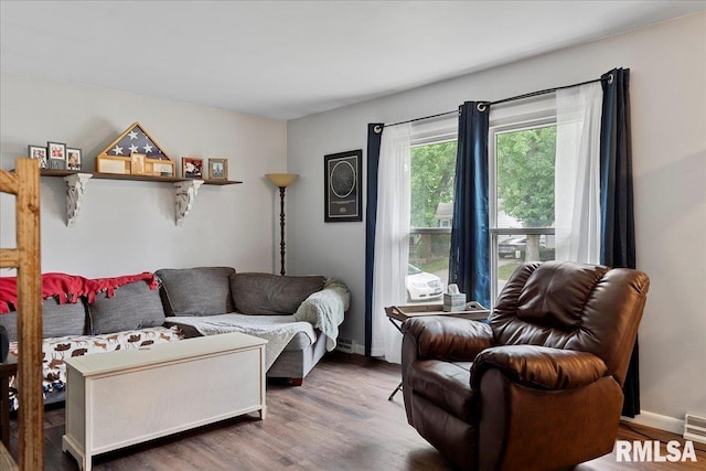 living room featuring wood-type flooring