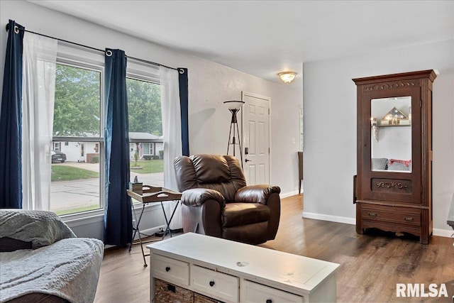 sitting room featuring hardwood / wood-style floors