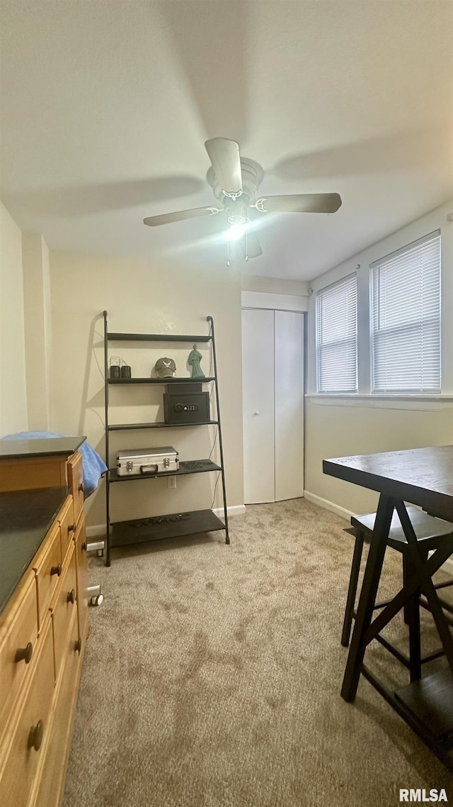 interior space with ceiling fan