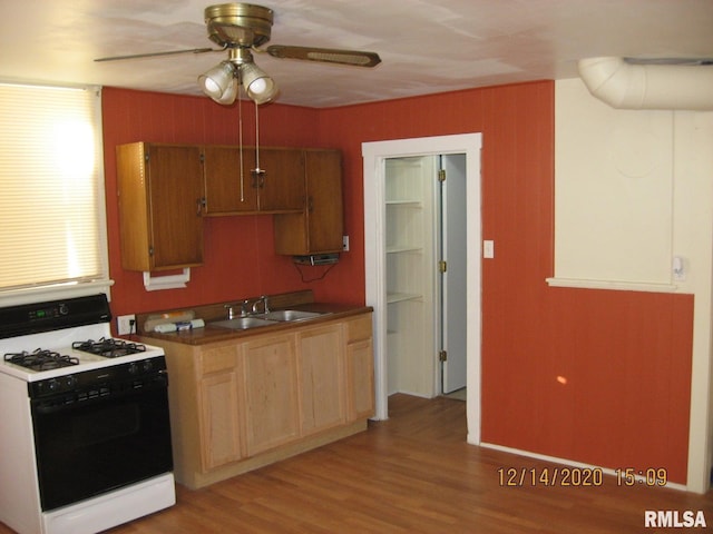 kitchen featuring white gas stove, light hardwood / wood-style floors, sink, and ceiling fan