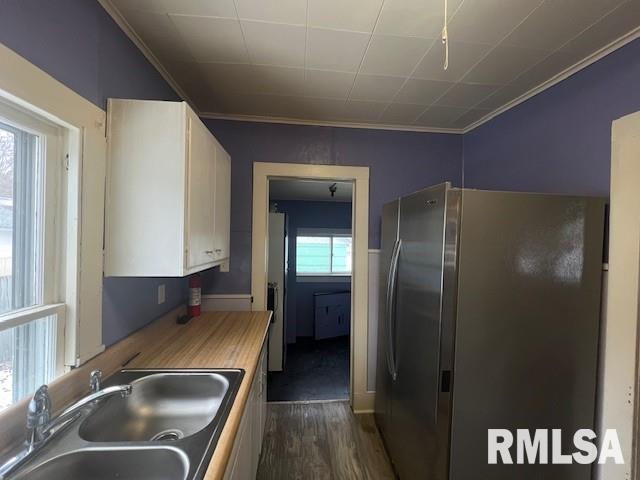 kitchen featuring stainless steel fridge, dark hardwood / wood-style flooring, crown molding, and sink