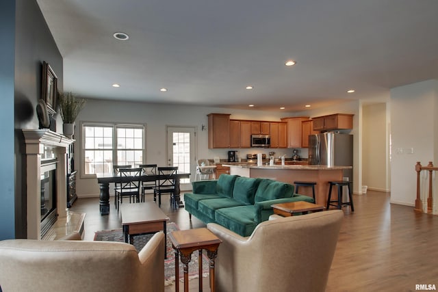 living room with a premium fireplace and light wood-type flooring