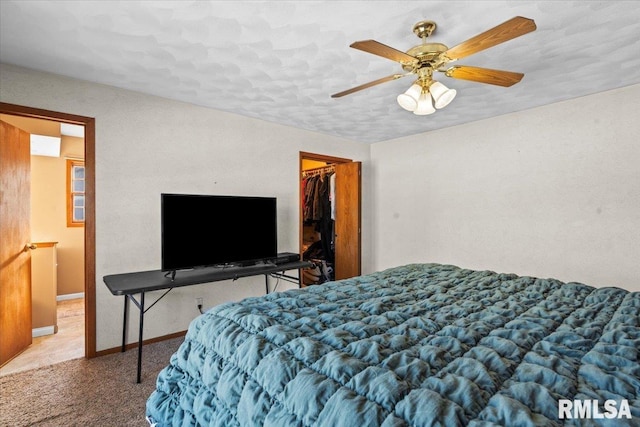 bedroom with a walk in closet, ceiling fan, a closet, and carpet