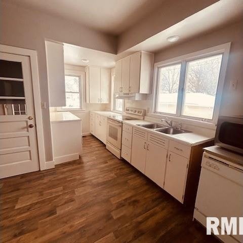 kitchen featuring white appliances, dark wood-type flooring, white cabinets, and sink