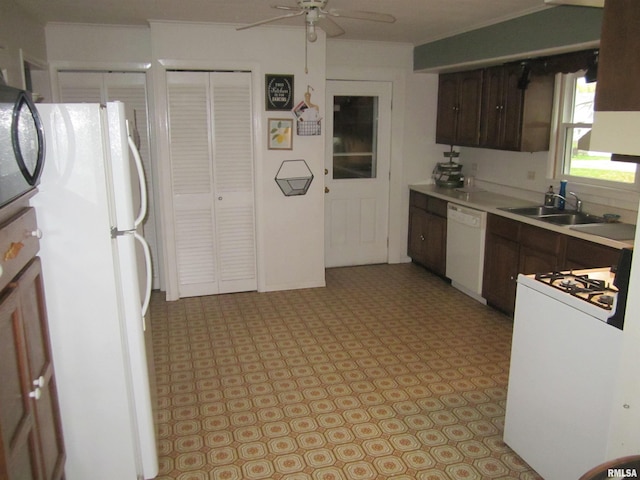 kitchen with ceiling fan, white appliances, dark brown cabinetry, and sink