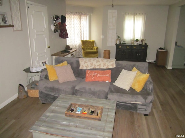 living room with hardwood / wood-style floors