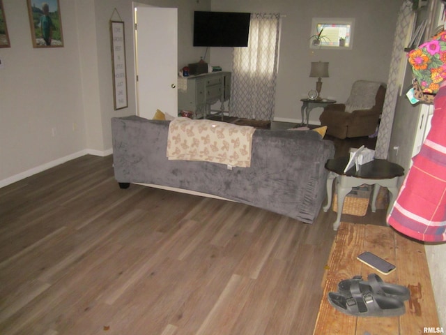 living room with hardwood / wood-style flooring