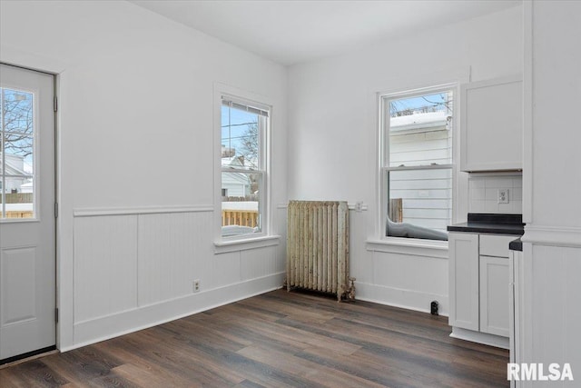 interior space featuring radiator heating unit and dark hardwood / wood-style floors