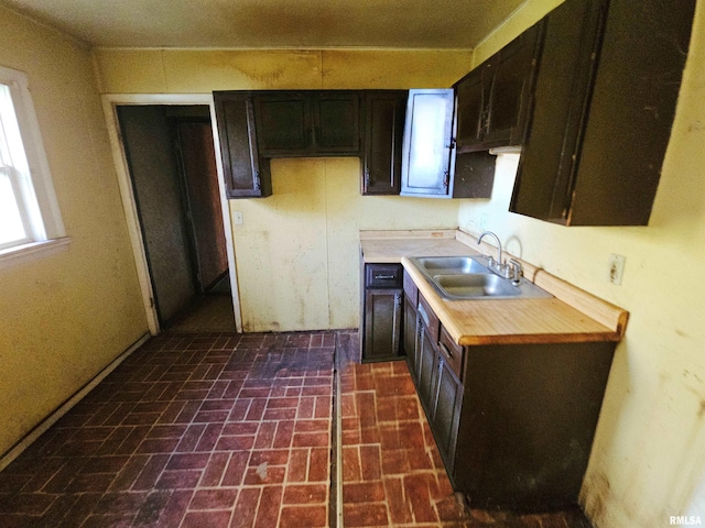 kitchen with sink and dark brown cabinets