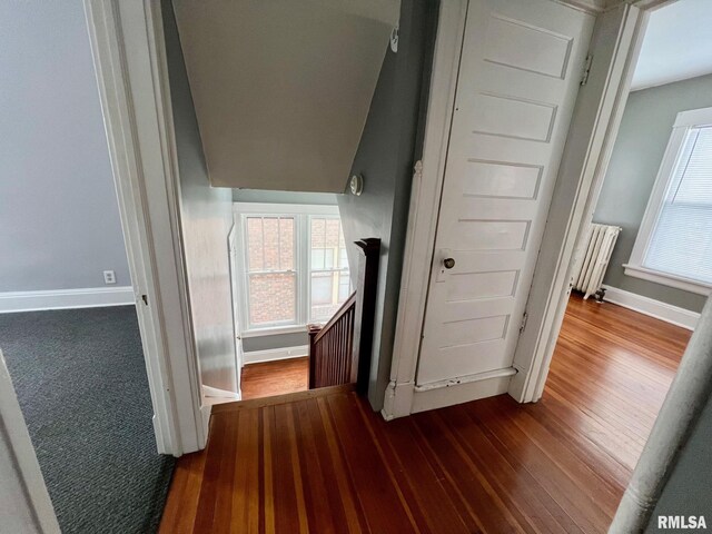 corridor with radiator and dark hardwood / wood-style floors