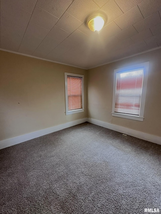 carpeted spare room featuring crown molding and a wealth of natural light