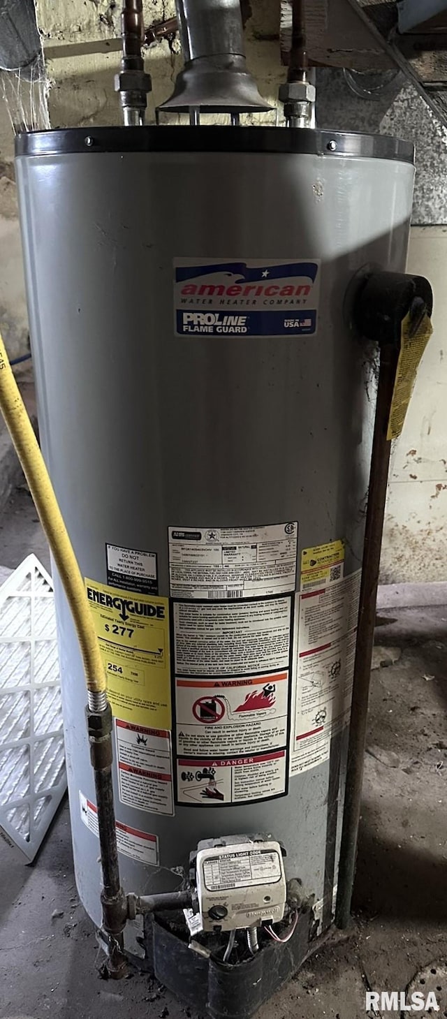 utility room featuring gas water heater